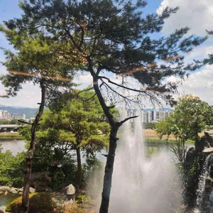 더뷔페앳인터불고 대표 사진