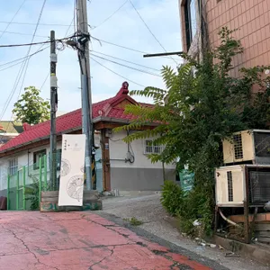 개항백화 대표 사진