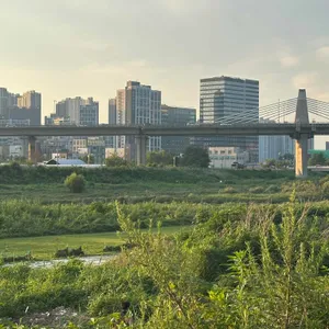 카페 엔소파 리뷰 사진