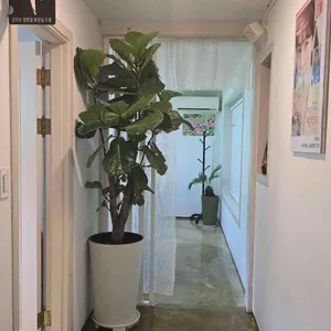 내추럴가든529 리뷰 사진