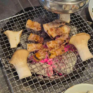 미금수뿔 대표 사진