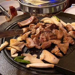 부산갈매기 대표 사진