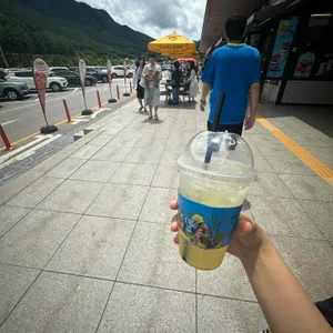 파스쿠찌 대표 사진