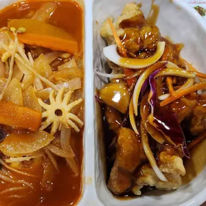 미래향 대표 사진