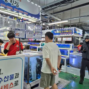 삼척대왕횟집 대표 사진
