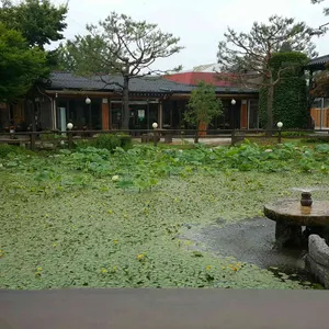 들풀 리뷰 사진