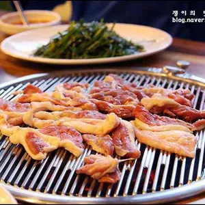 낙동생오리 사진