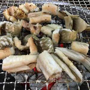 기장꼼장어 사진