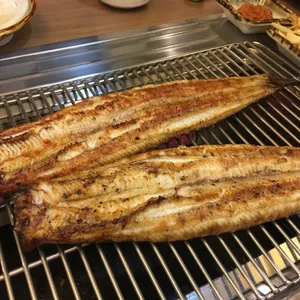 진성장어 사진