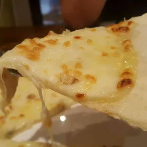 팀 사진