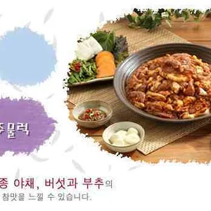 낙동생오리 사진