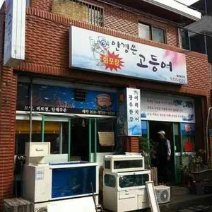 안경쓴고등어 리뷰 사진
