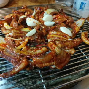 불티꼼장어 사진