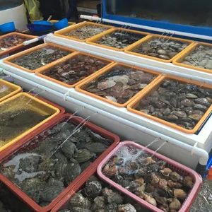 모항벧엘수산 리뷰 사진