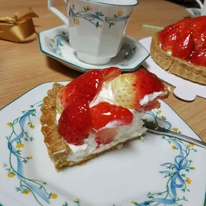 블레도르 사진
