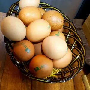 모이세해장국 리뷰 사진