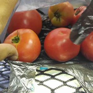 정거장 사진