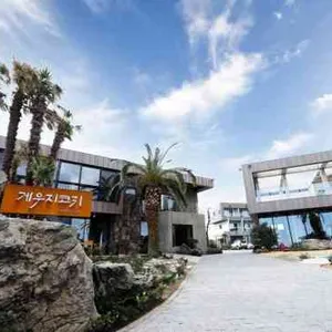 게우지코지 카페 리뷰 사진