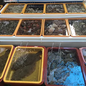 모항벧엘수산 리뷰 사진
