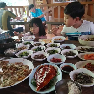 보리밭 사진