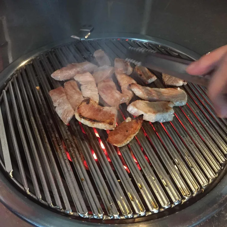 꿀돼지 사진