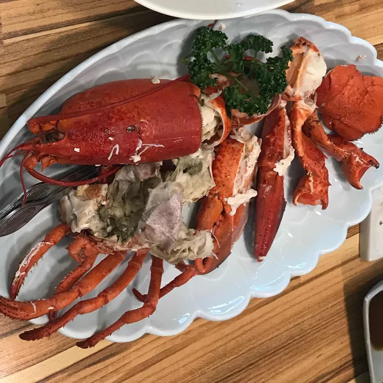 품안 사진