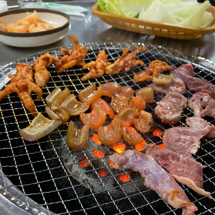 도야지 사진