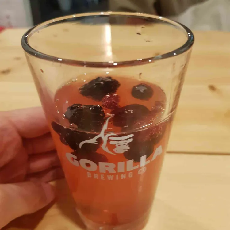 호피홀리데이 사진