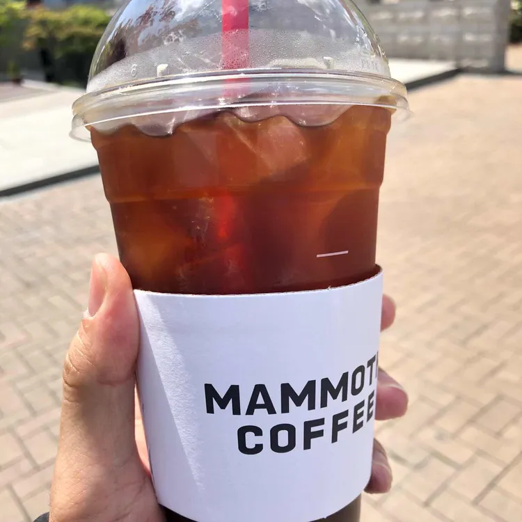 매머드익스프레스 사진