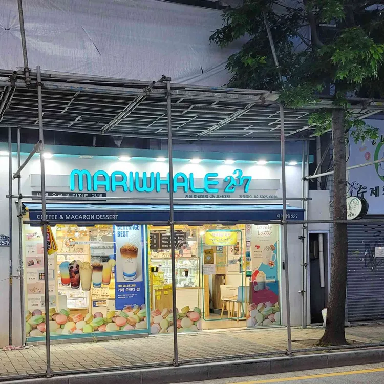 마리웨일237 사진