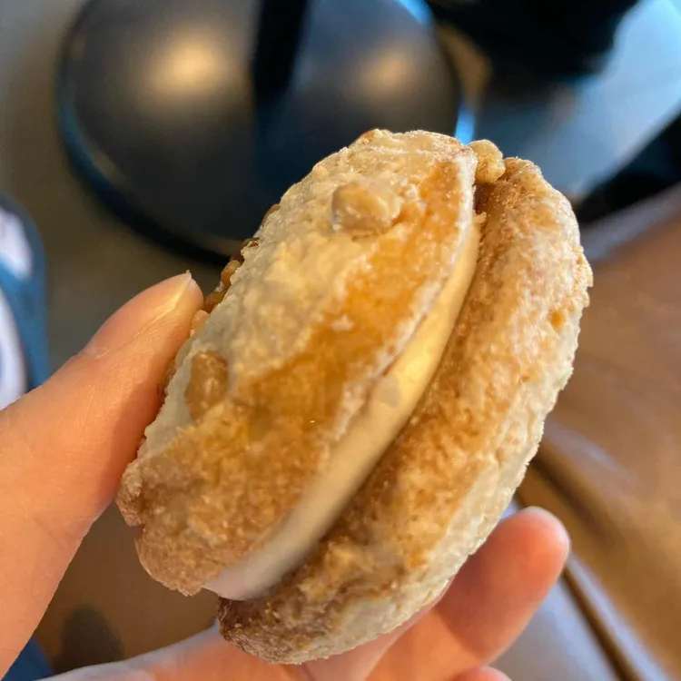 카페 나무에 사진
