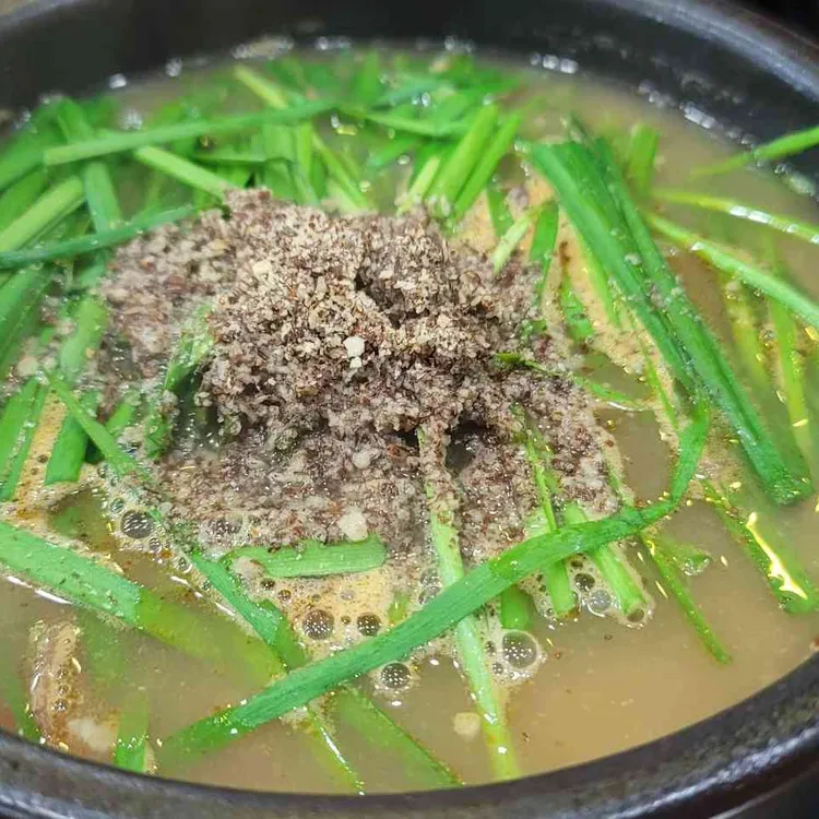 청솔 사진