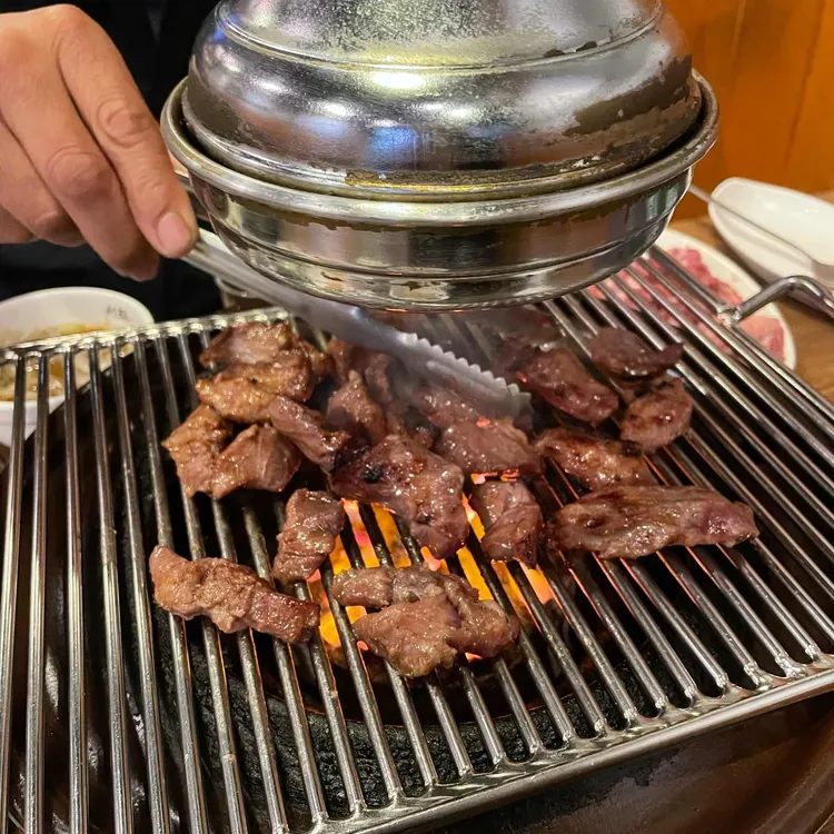 서래갈매기 사진