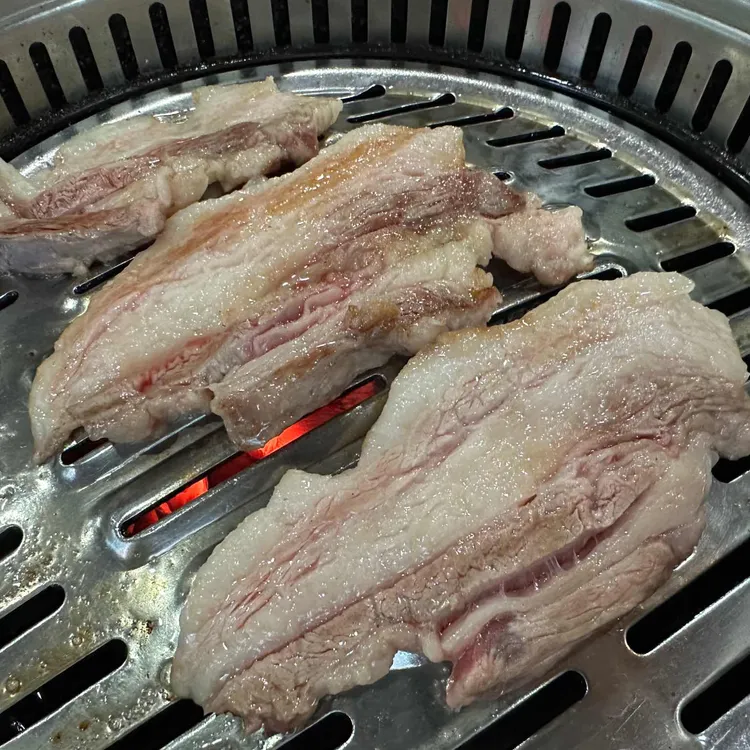 강원멧돼지 사진
