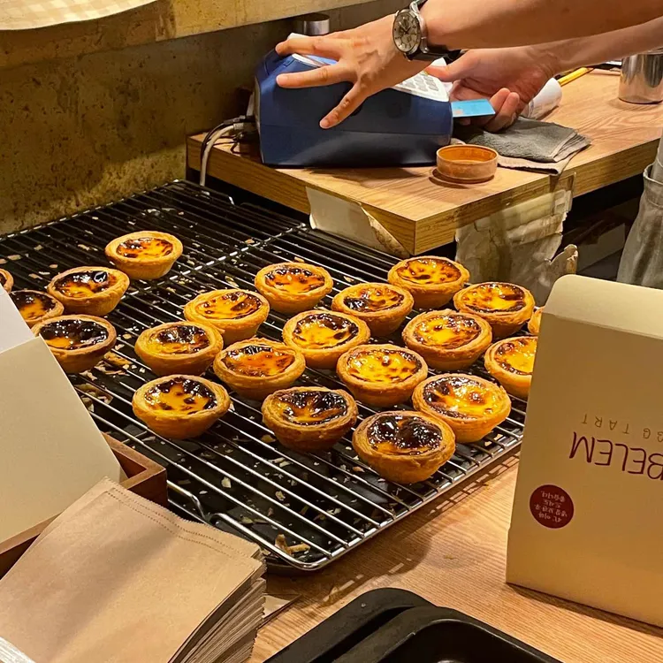 코메아벨렘 사진
