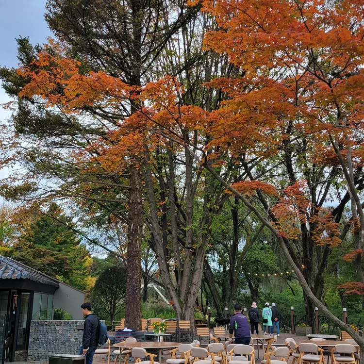 카페 아일래나 라운지 사진