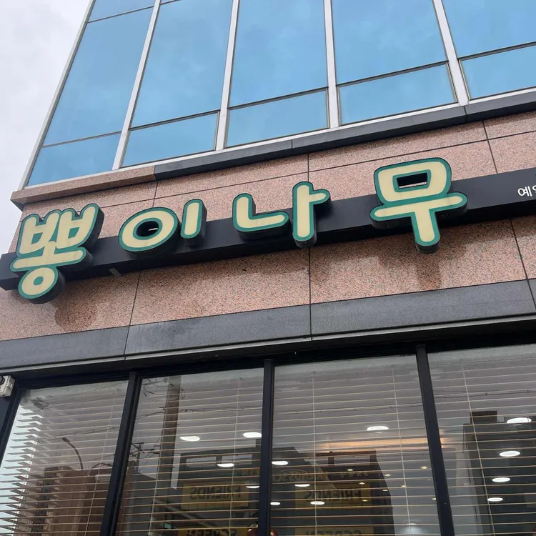 뽕이나무 사진