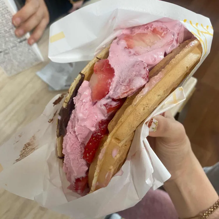 와플대학 사진