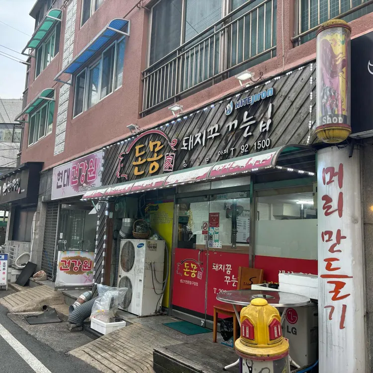 돈몽가 사진