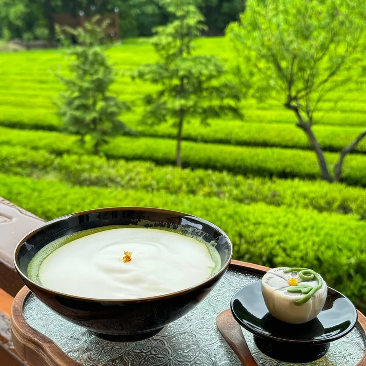 장군차 산들 농원 사진