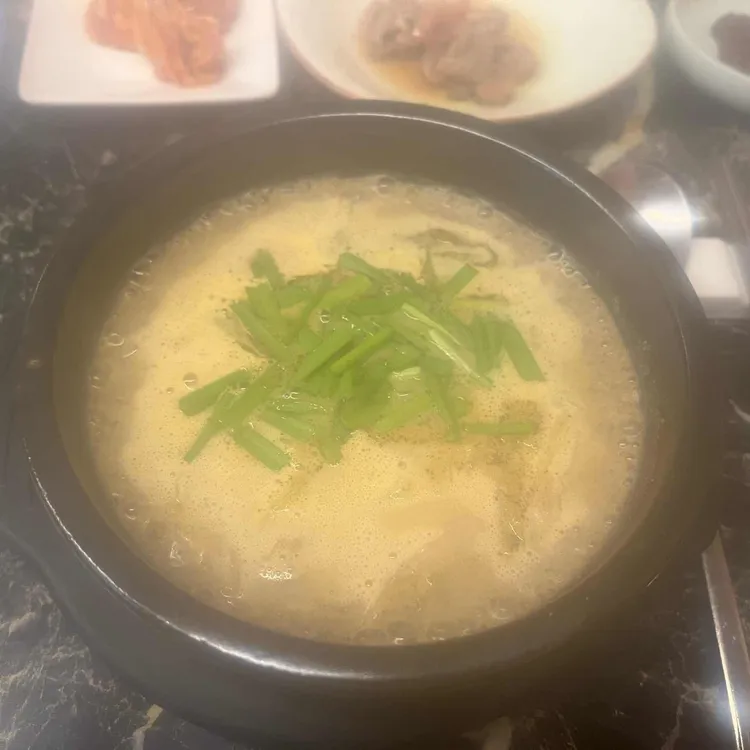 포도나무 사진