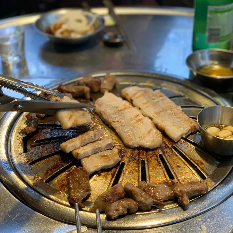 강남갈매기 사진