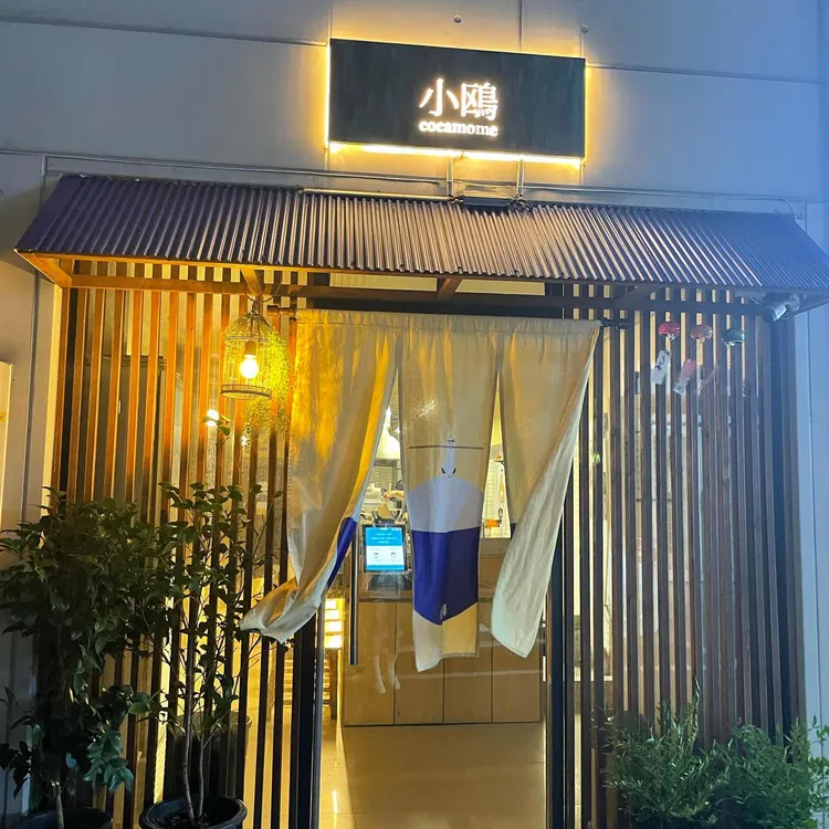 코카모메 사진