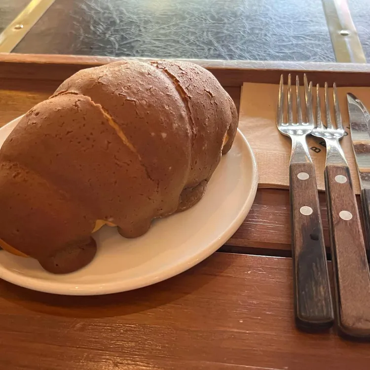 브룩스 사진