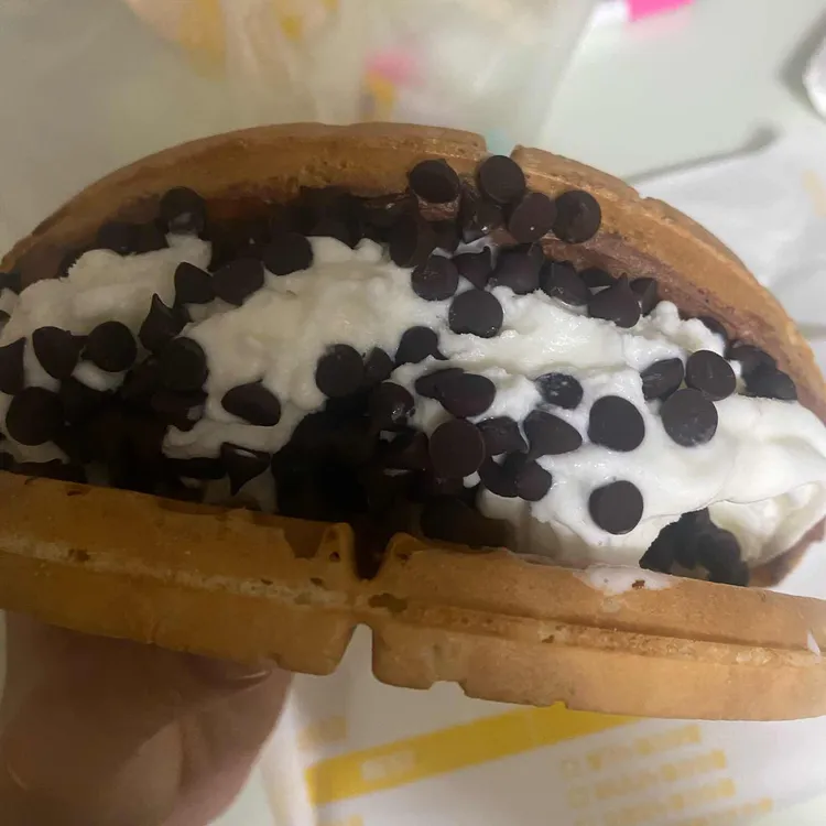 와플대학 사진