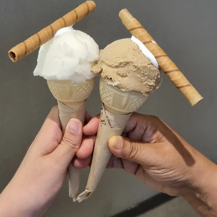 지파시 사진