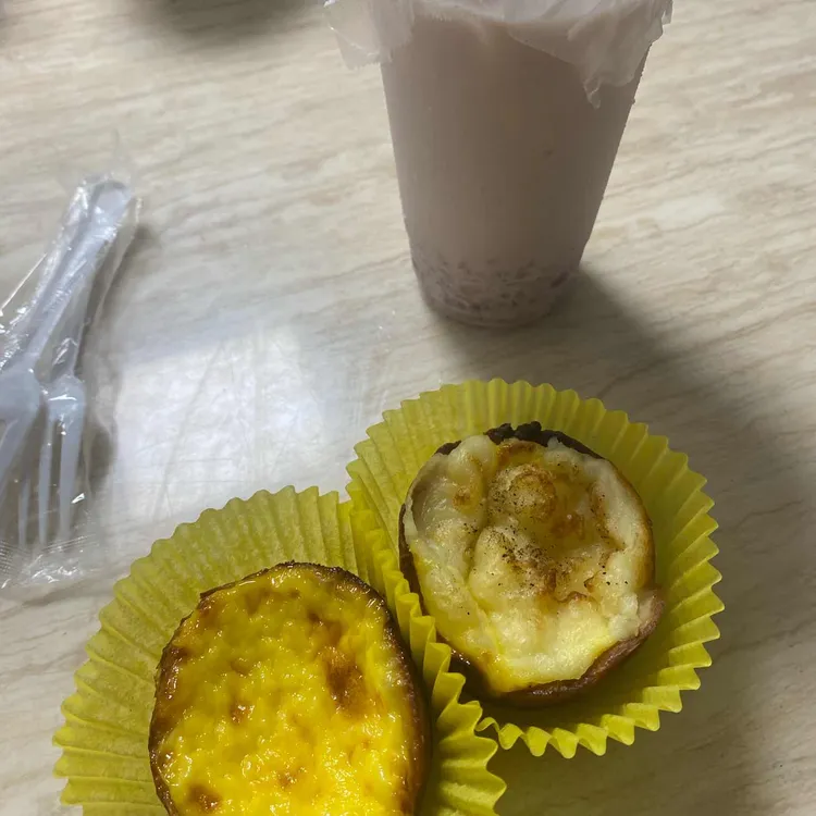 포레스트 사진