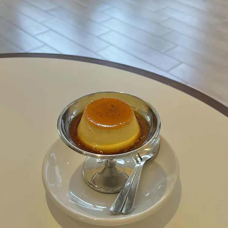 푸디니 사진