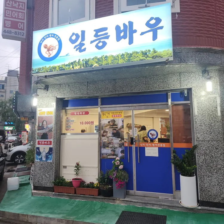 일등바우 사진