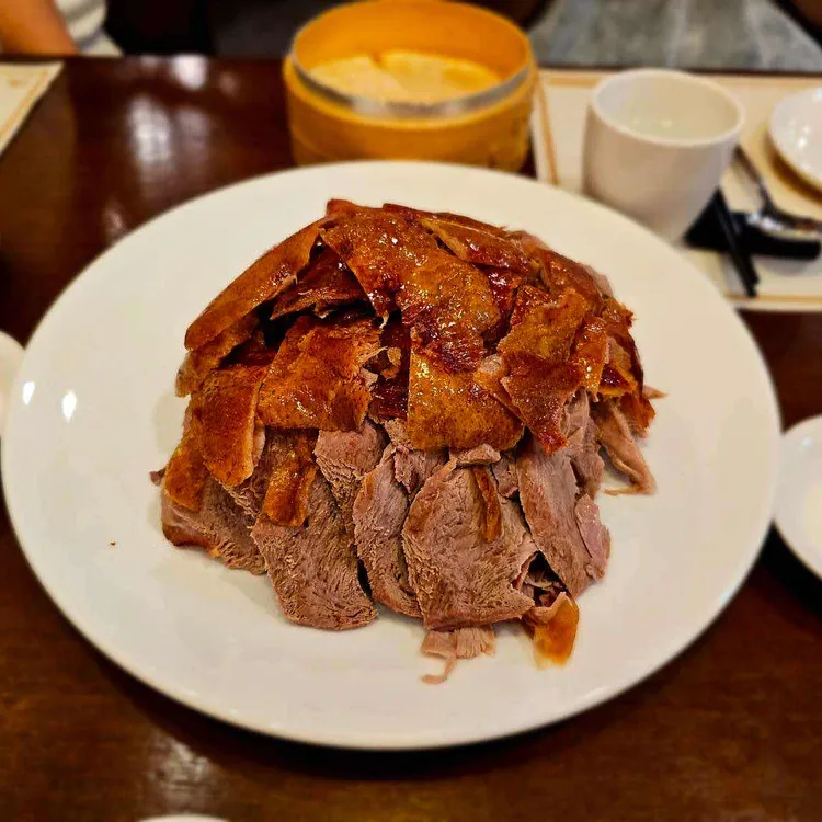 청북경오리 사진